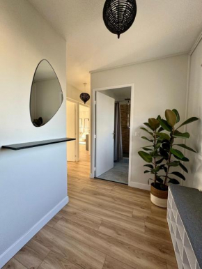 Appartement 50m2, Montpellier Ovalie, clim-balcon-netflix
